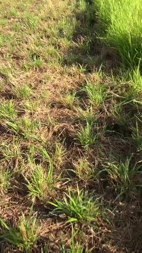 @Scritos_Biker😇
