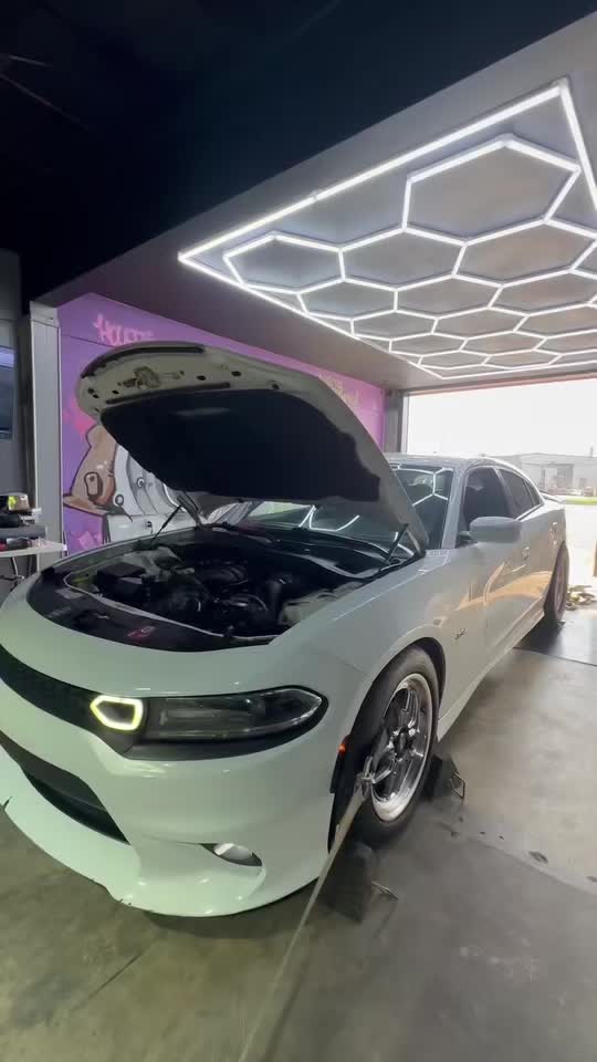 @Onefastscat