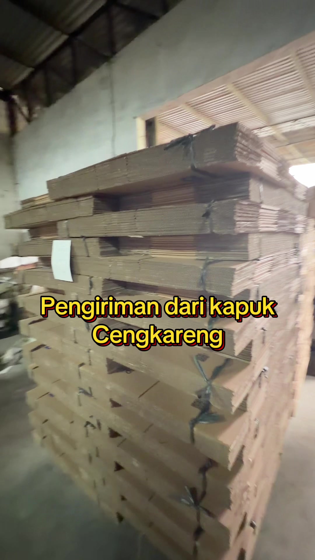 @6 sodara