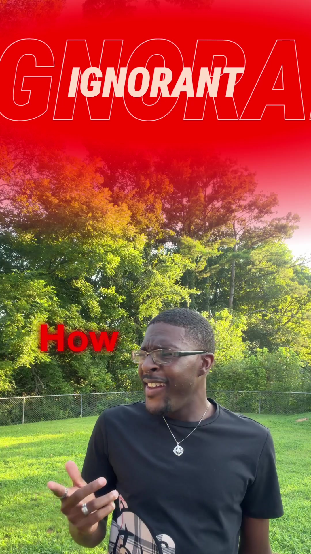 @thedioneffect