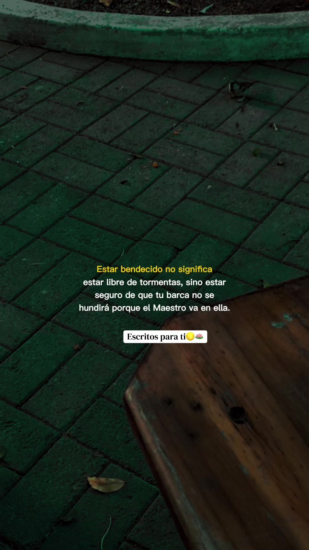 @🌕🪷Escritos para ti✨
