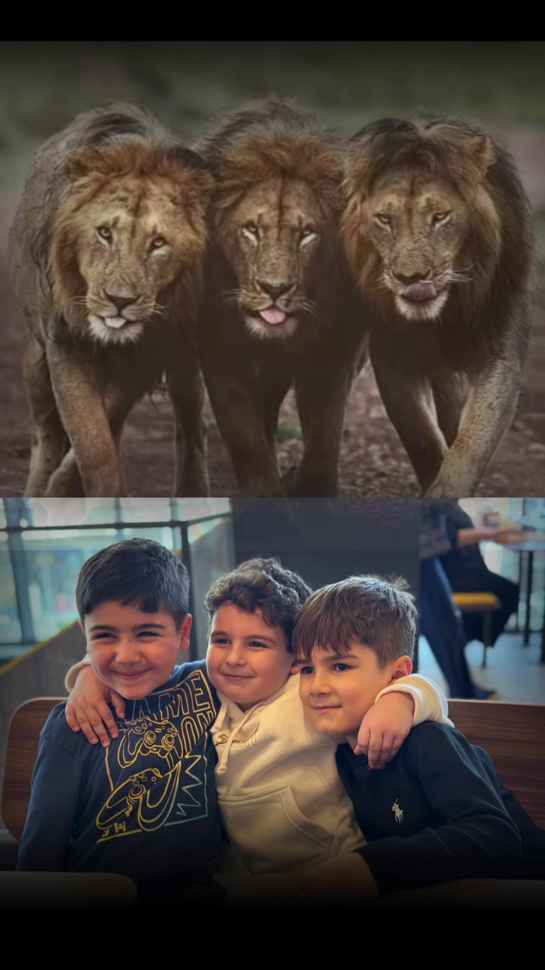 @👑🦁👑