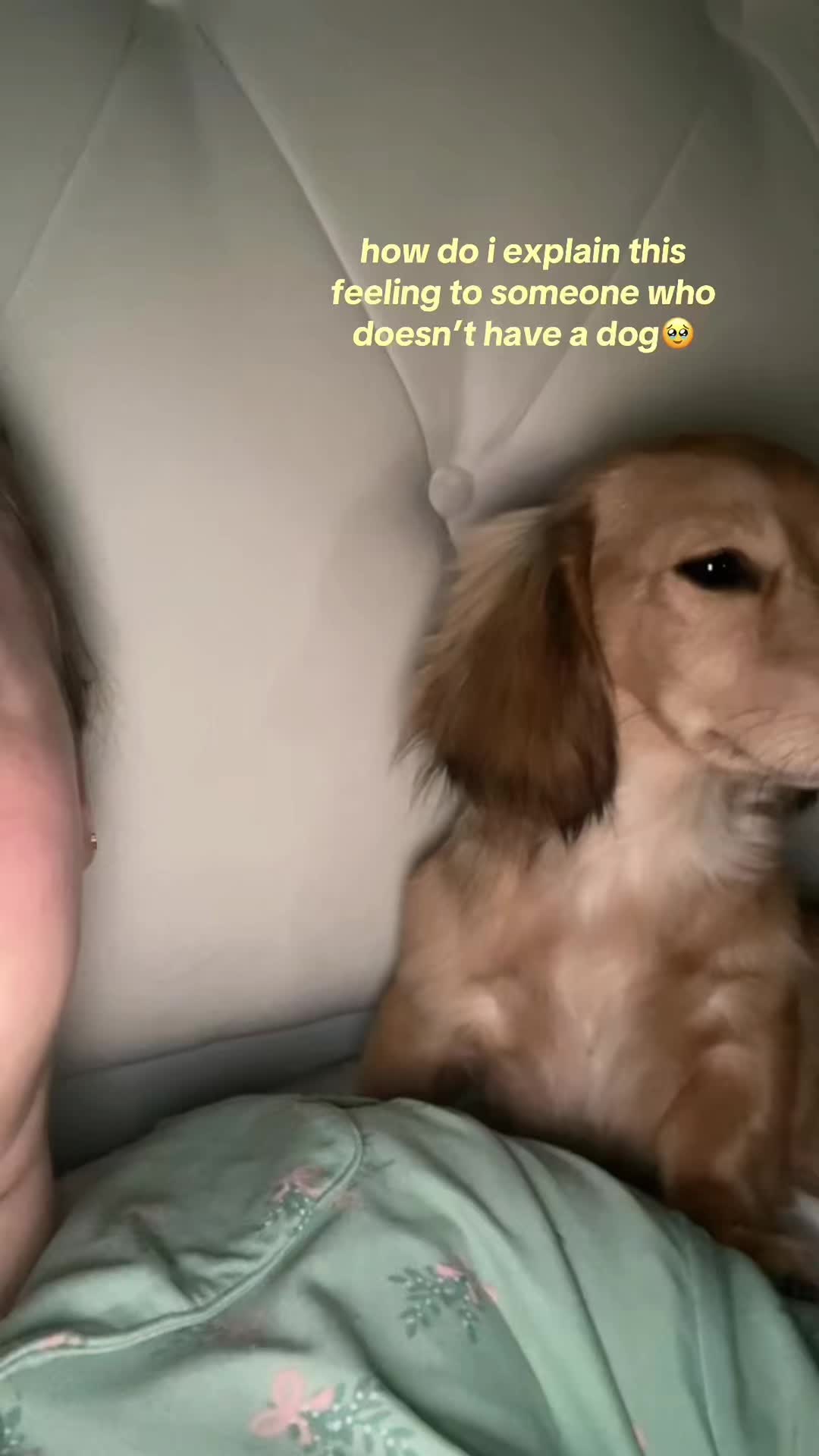 @TvTuppy