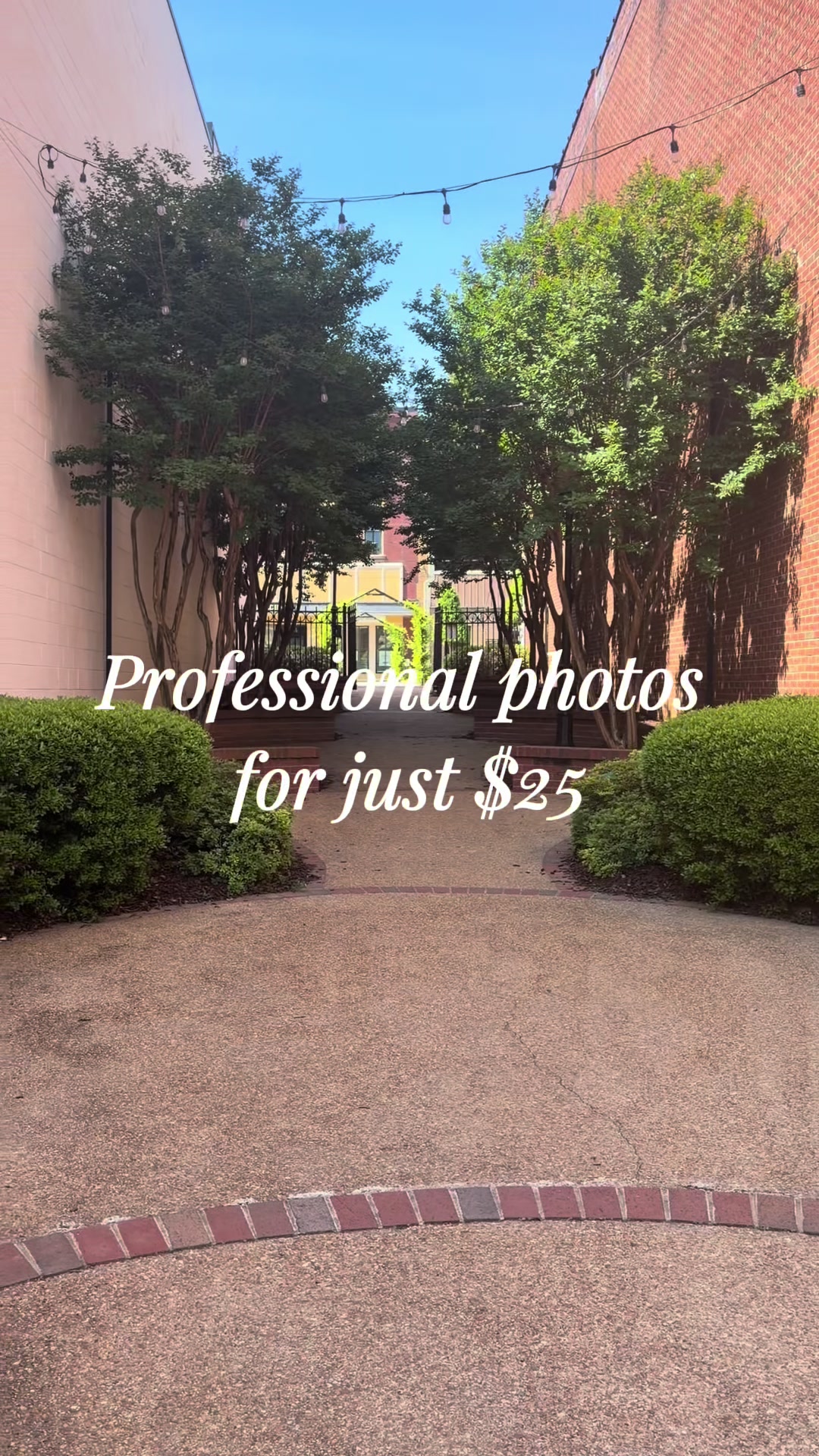 @Lydia Crouse Photography