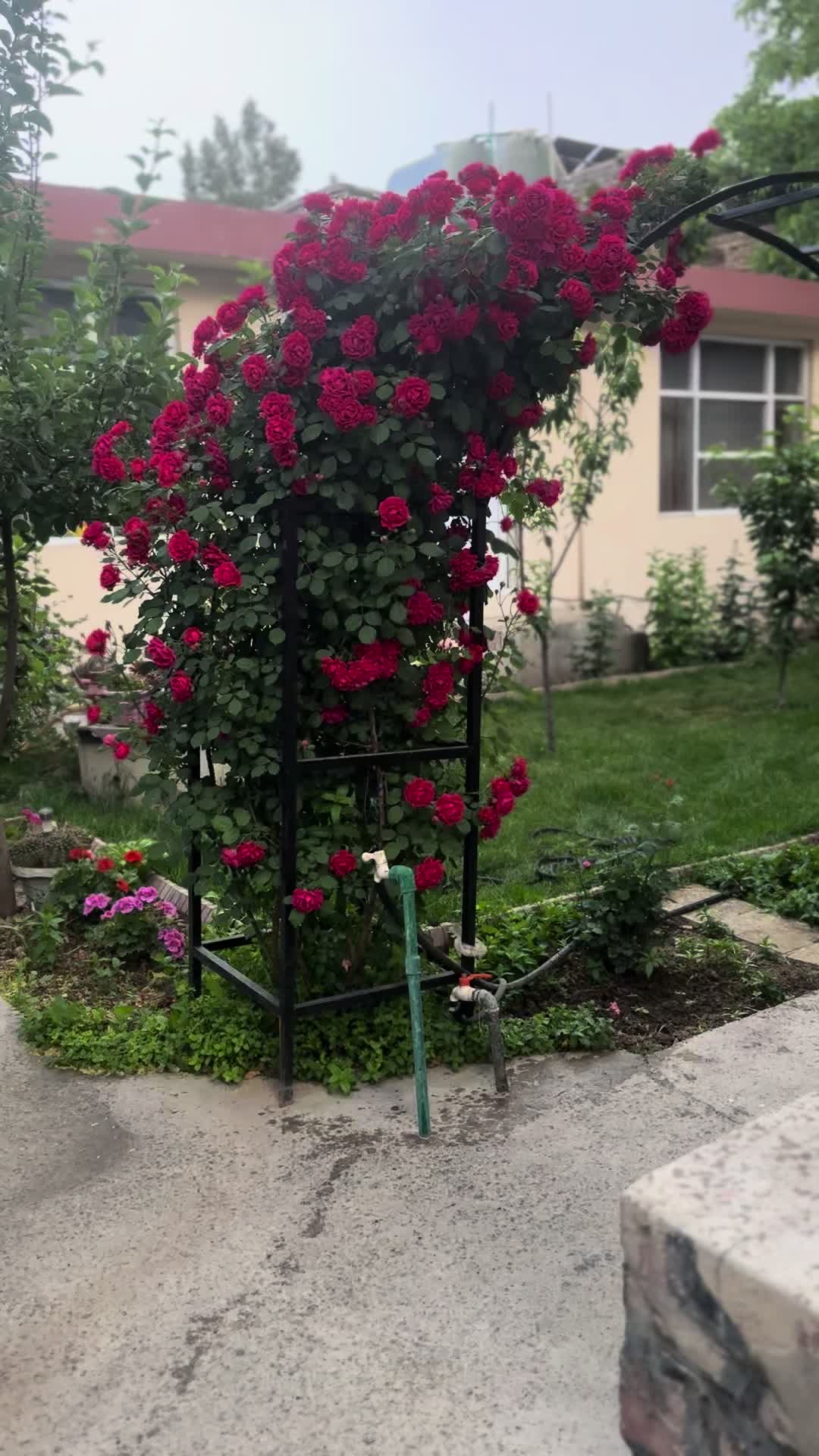 @ภ๏ ภค๓є 🥀