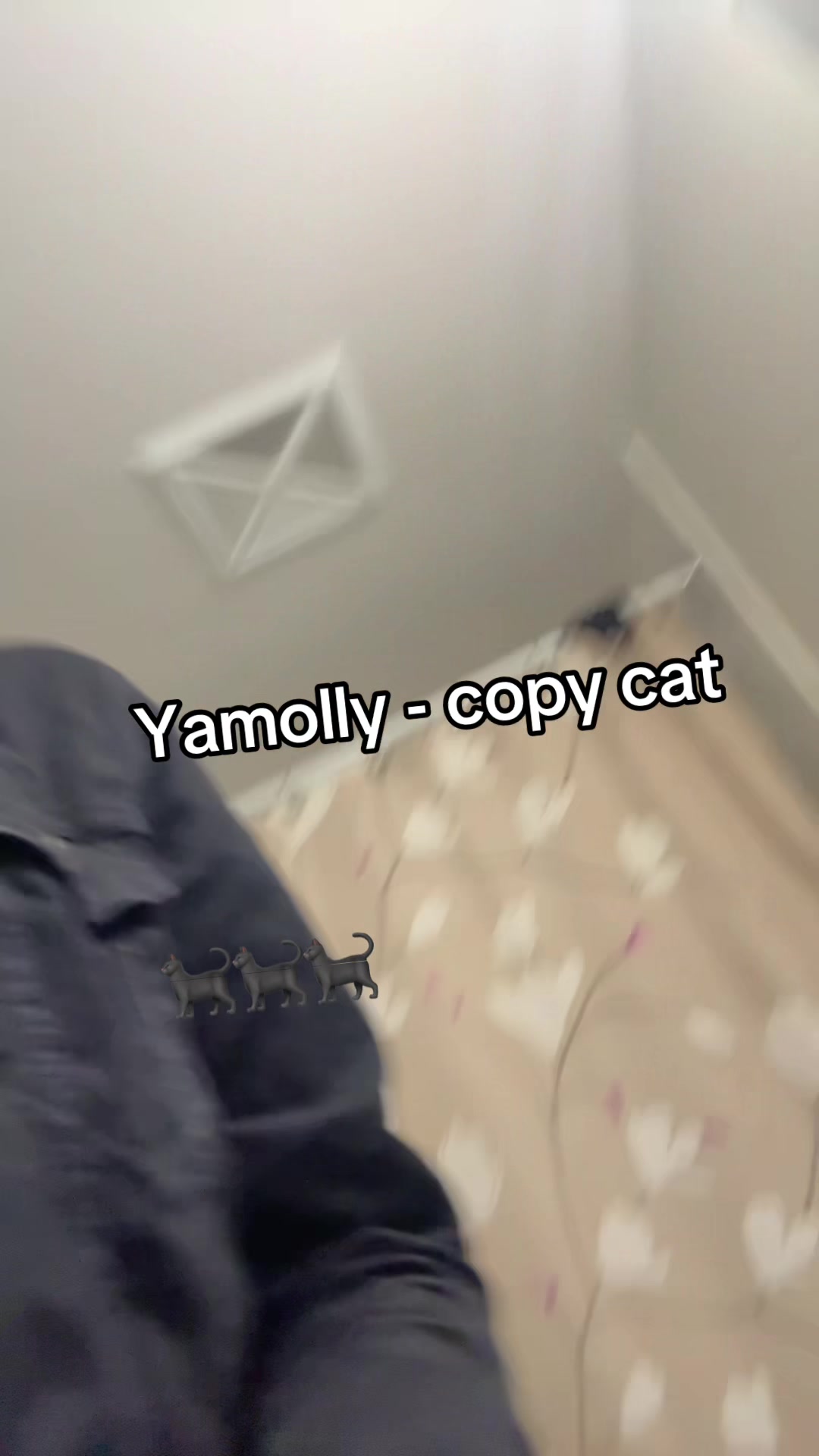 @M&oslash;lly