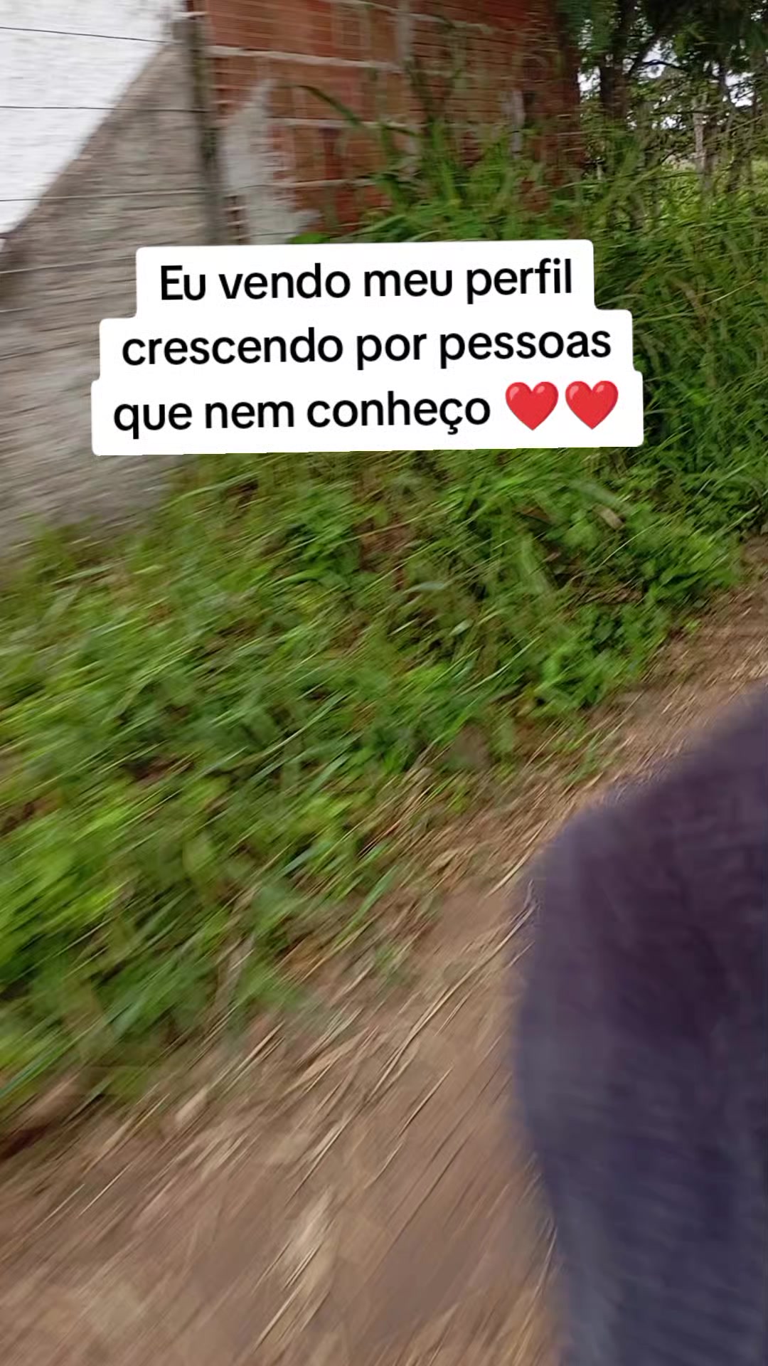 @Janaina Silva