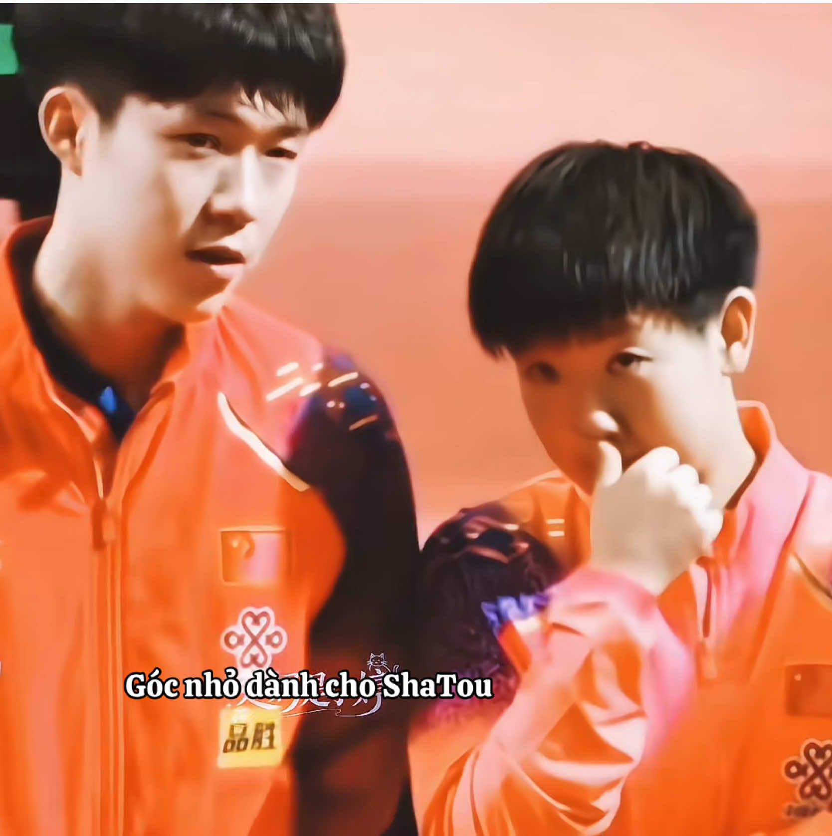 @Acc này chỉ có ShaTou🦁🦈❤️