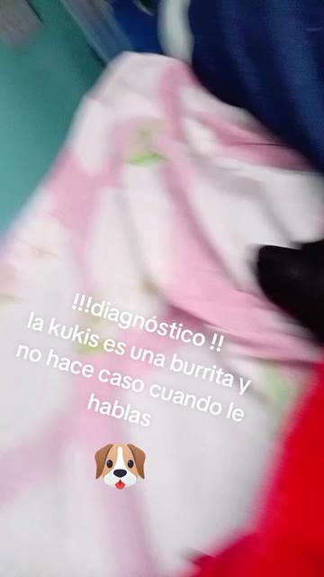 @mayra Salgado💃💃🍬🍬