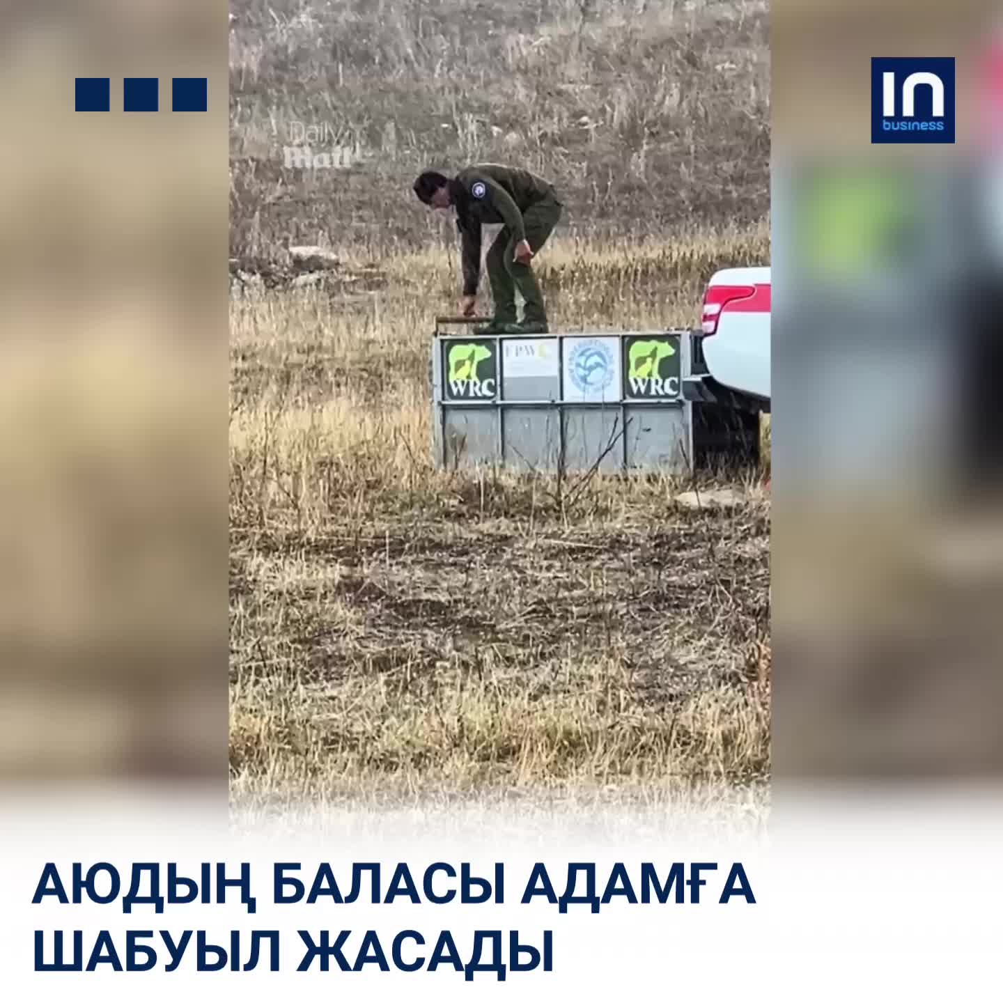 @inbusiness.kz