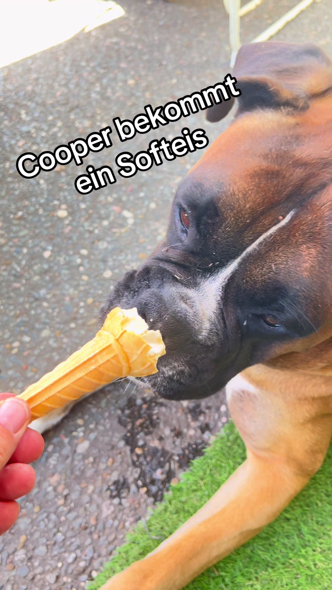 @ostfriesenfrau