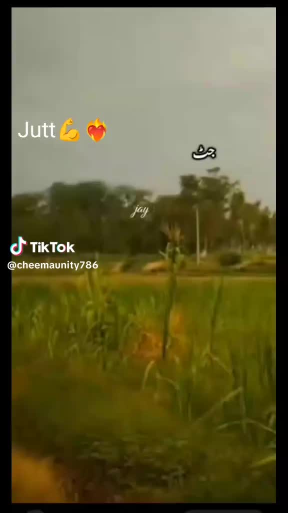 @Iqbal Jutt768