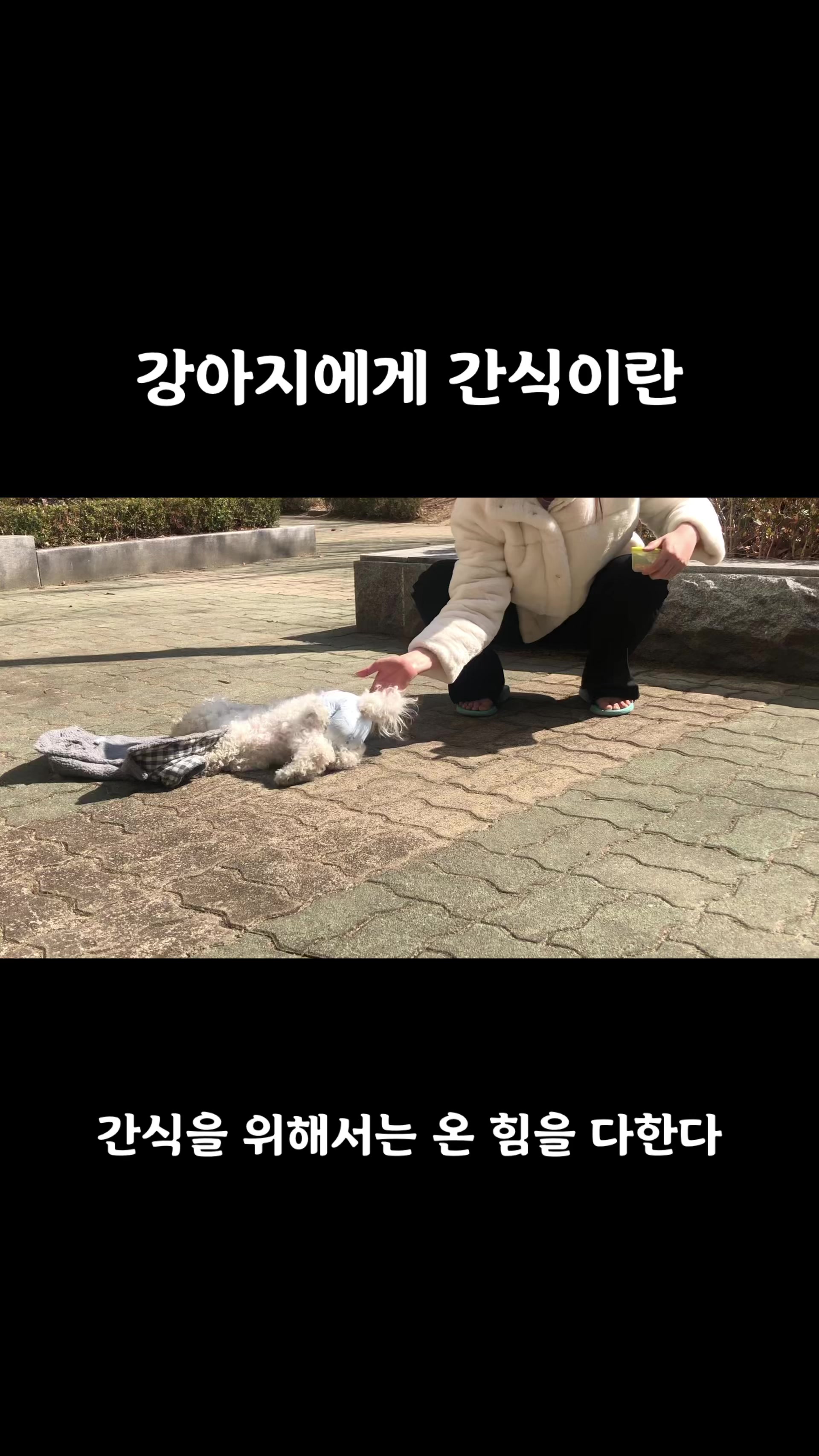 @한조니 Shelly