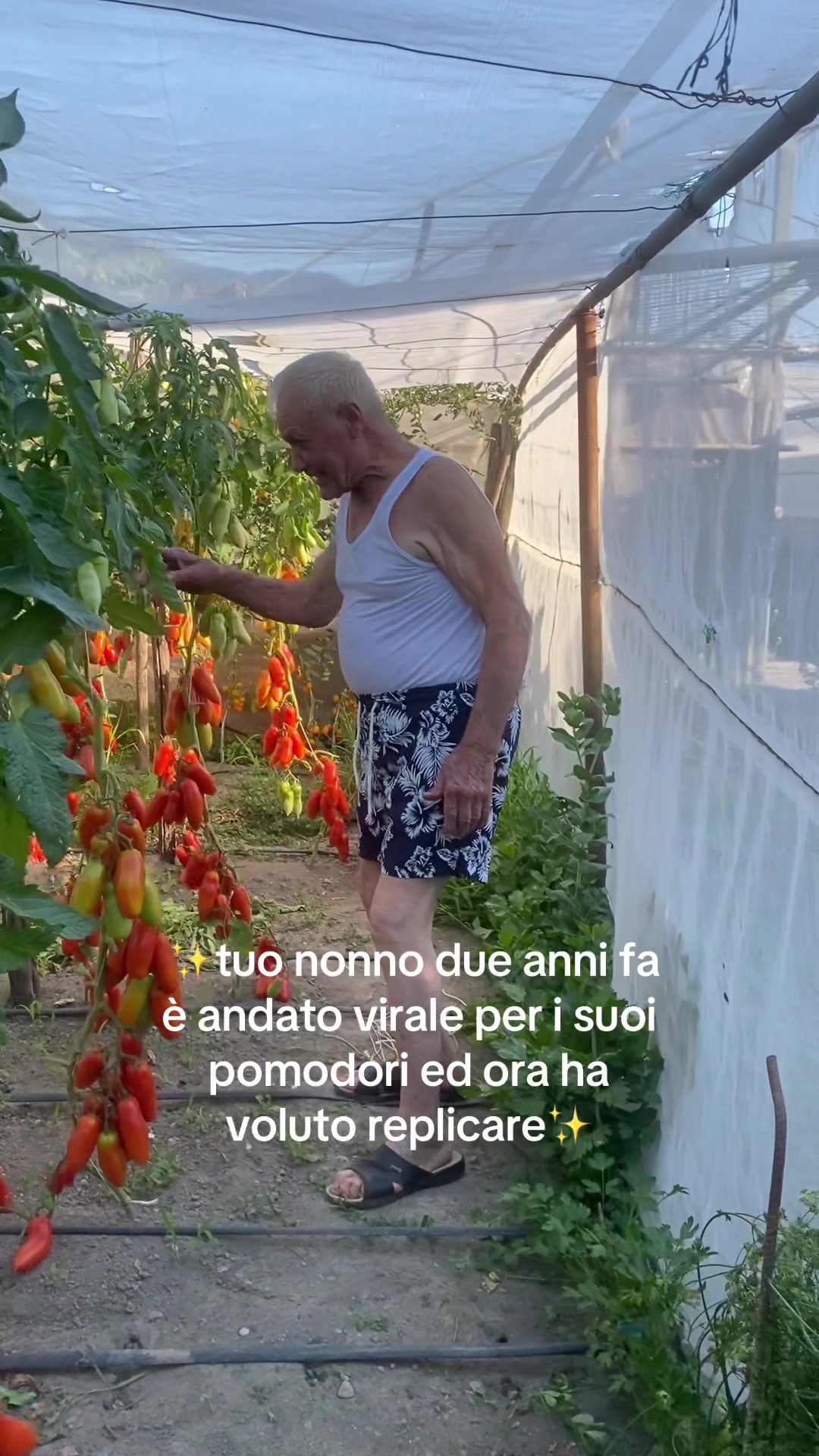 @Margherita Iossa