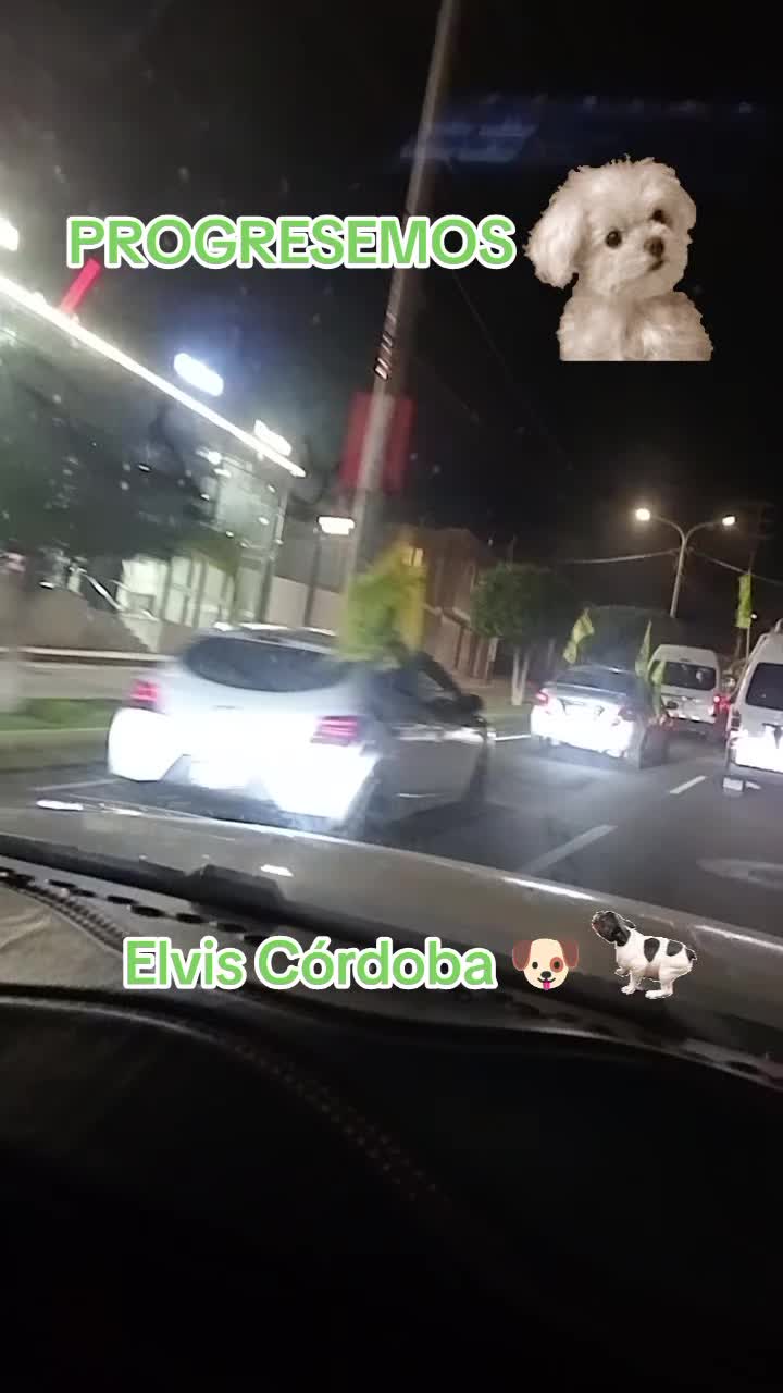 @Marycielo Gamarra