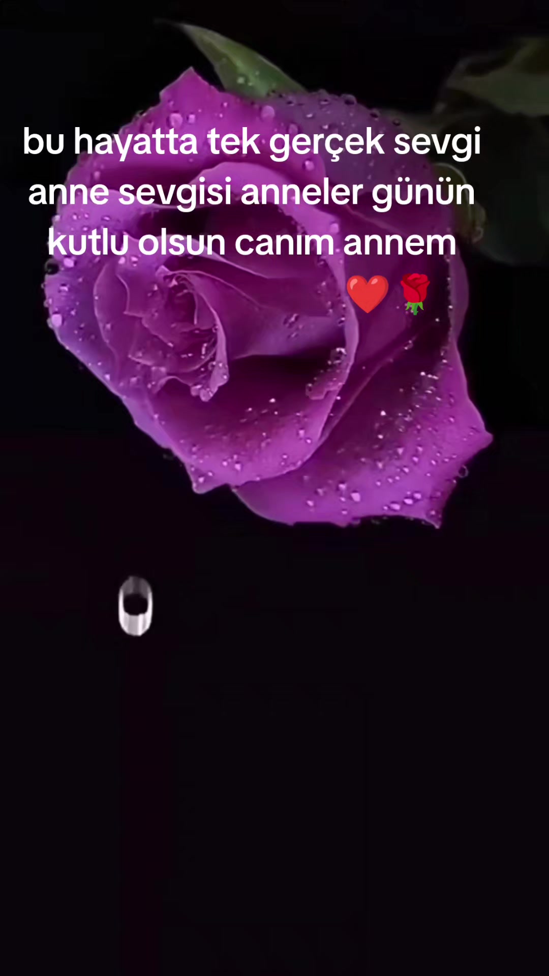 @🥀 Delal 21 🥀