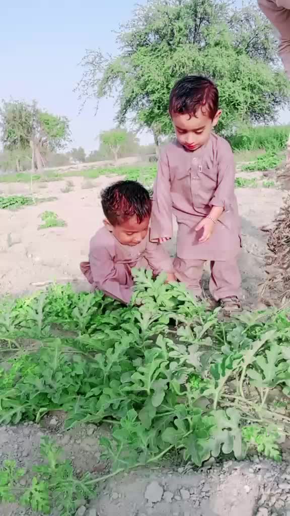 @Augan Balach