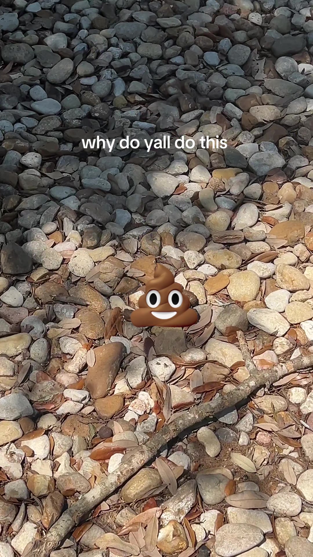 @autumn (: