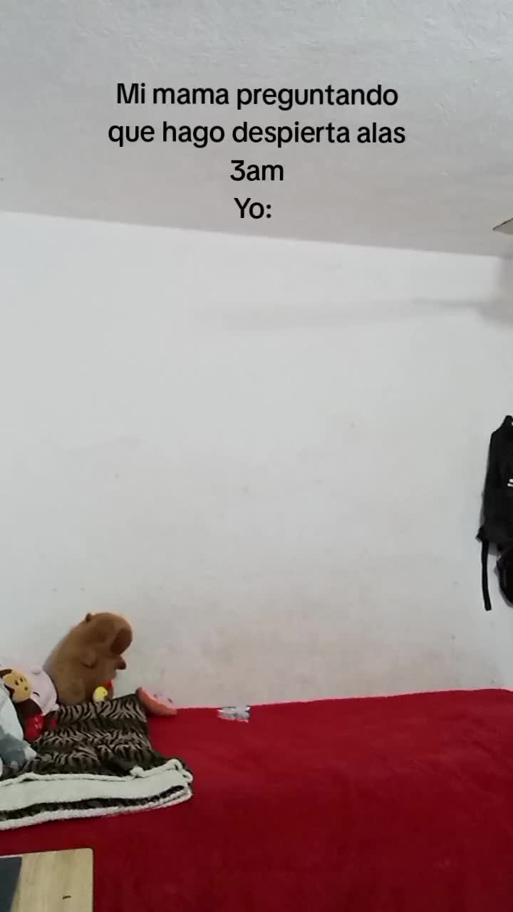 @Raquel