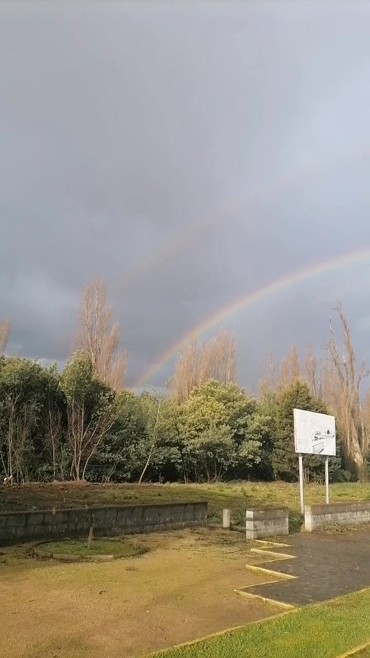 @ElAngolino