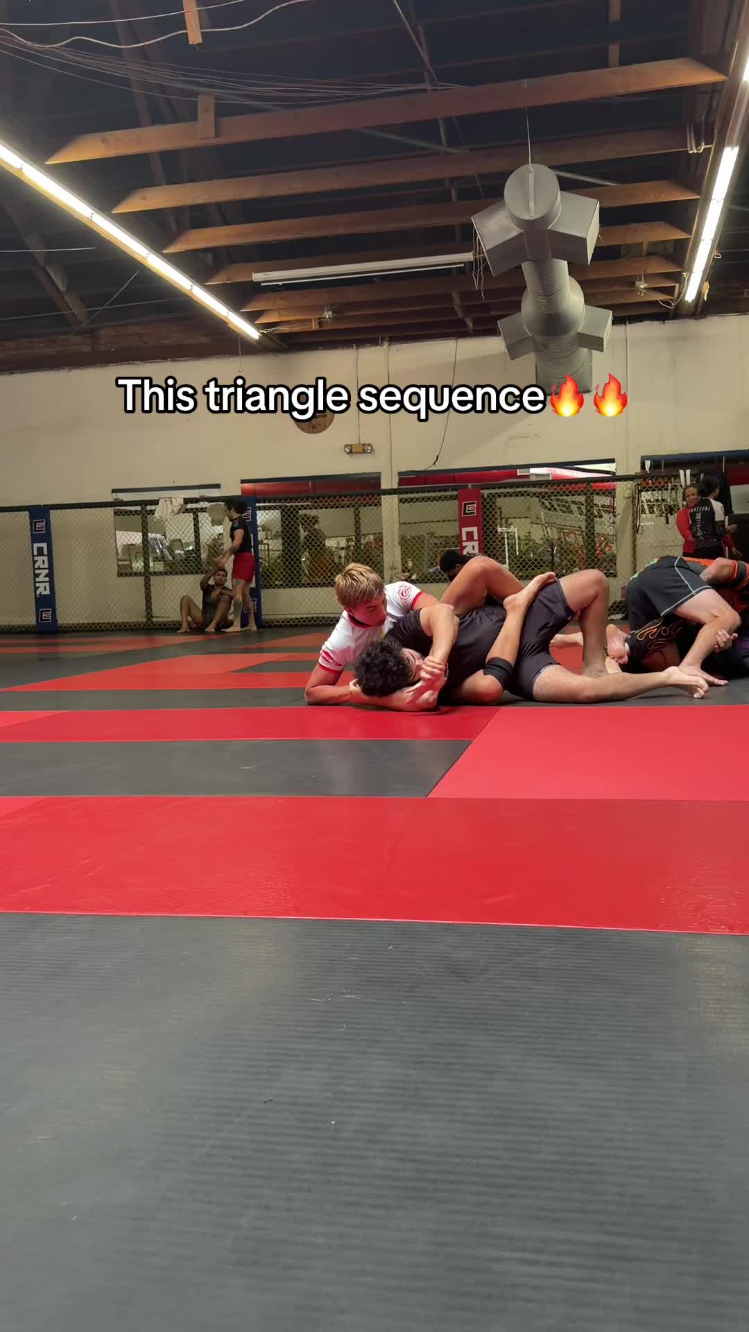 @brendonbjj