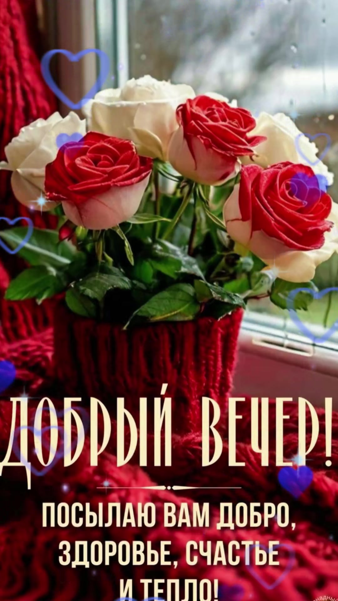 @zinaiduhka