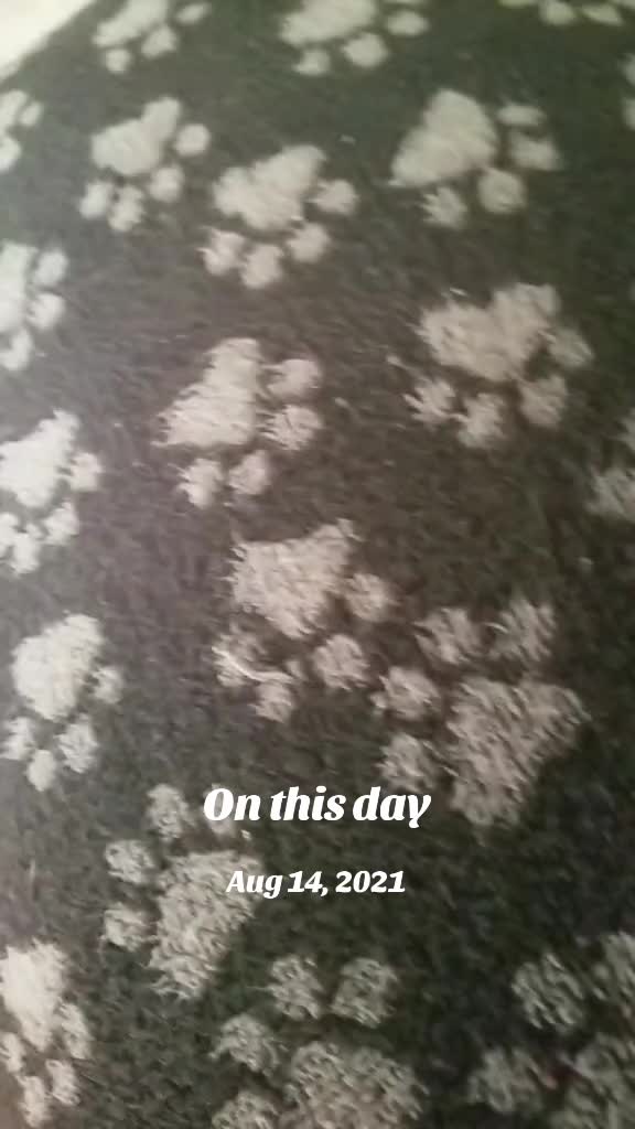 @Tina72🤙