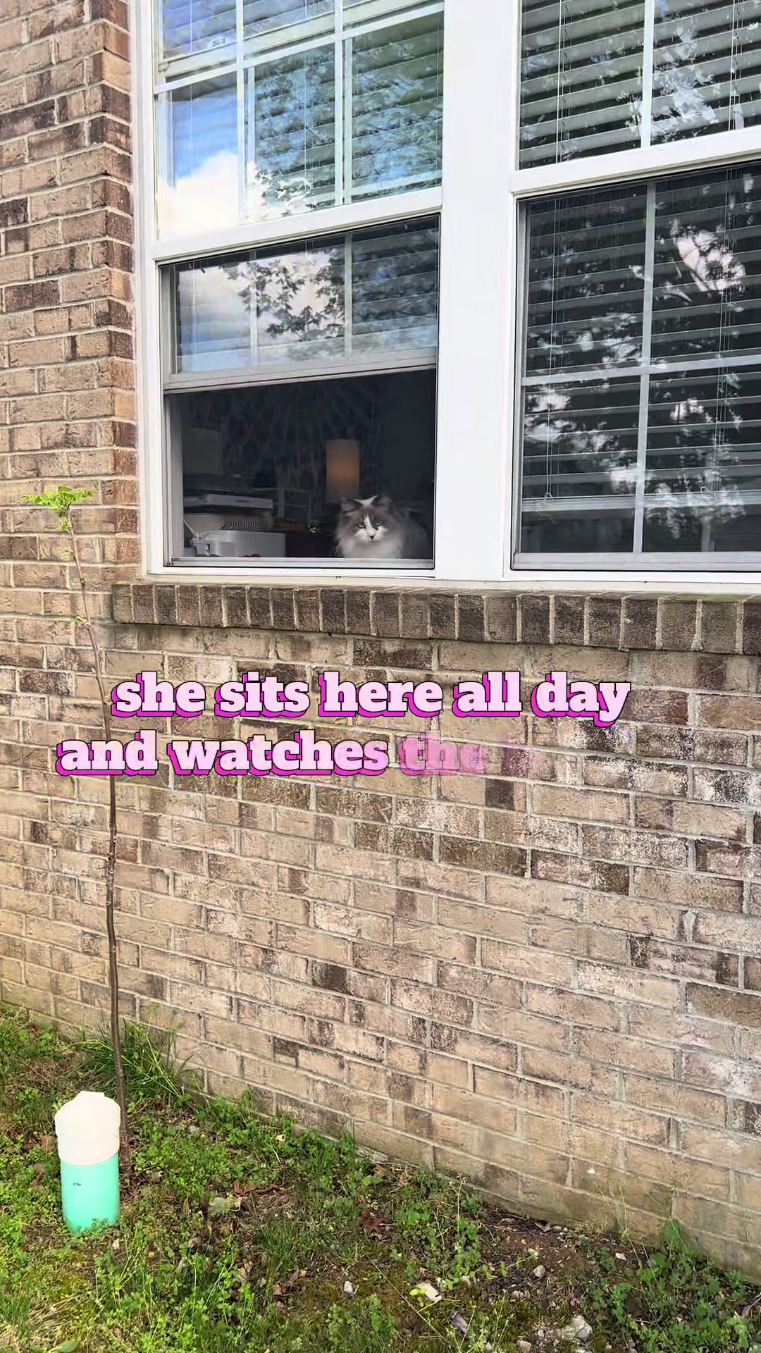 @savedandslightlyunstable