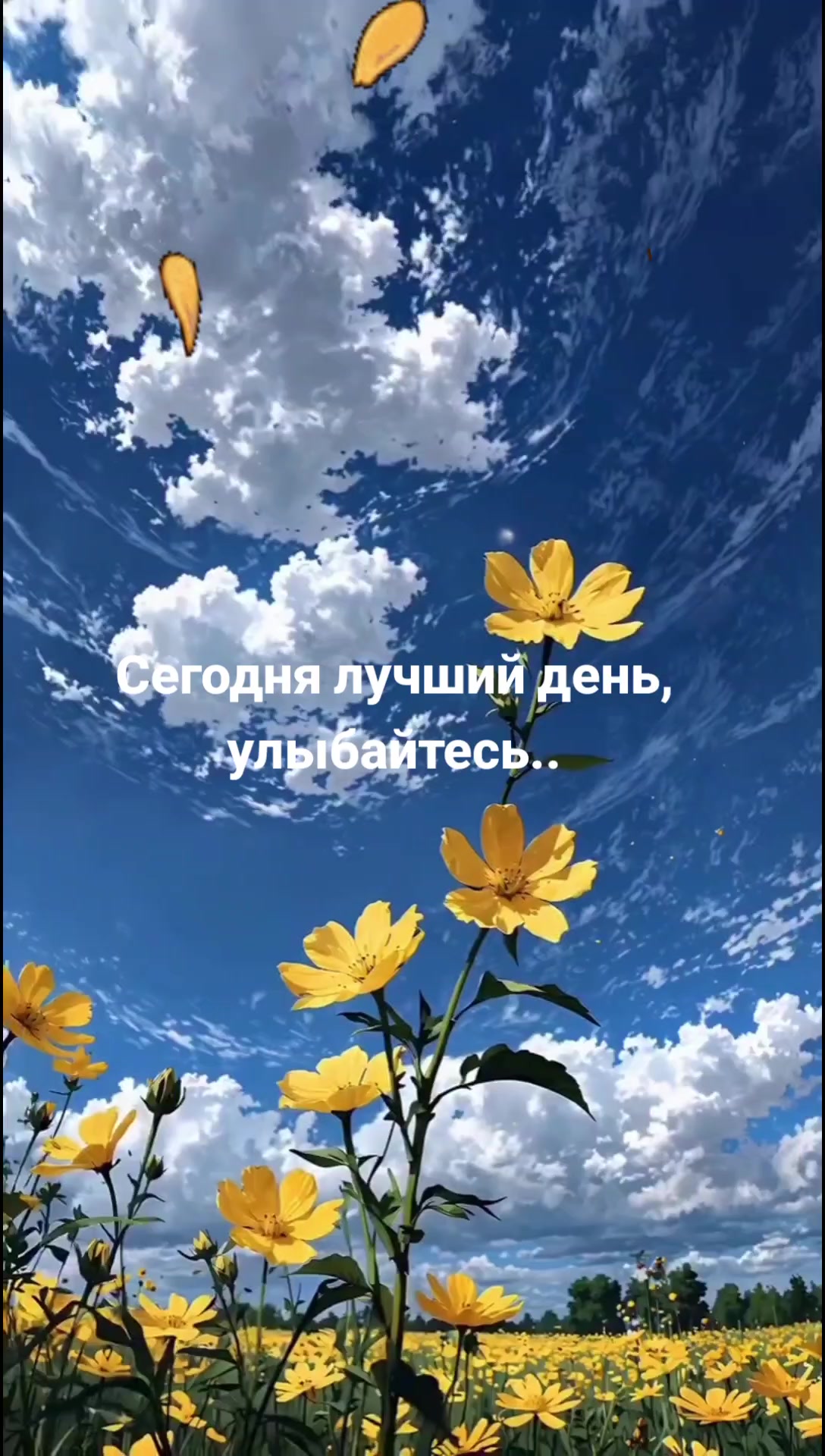 @Мила Телец.