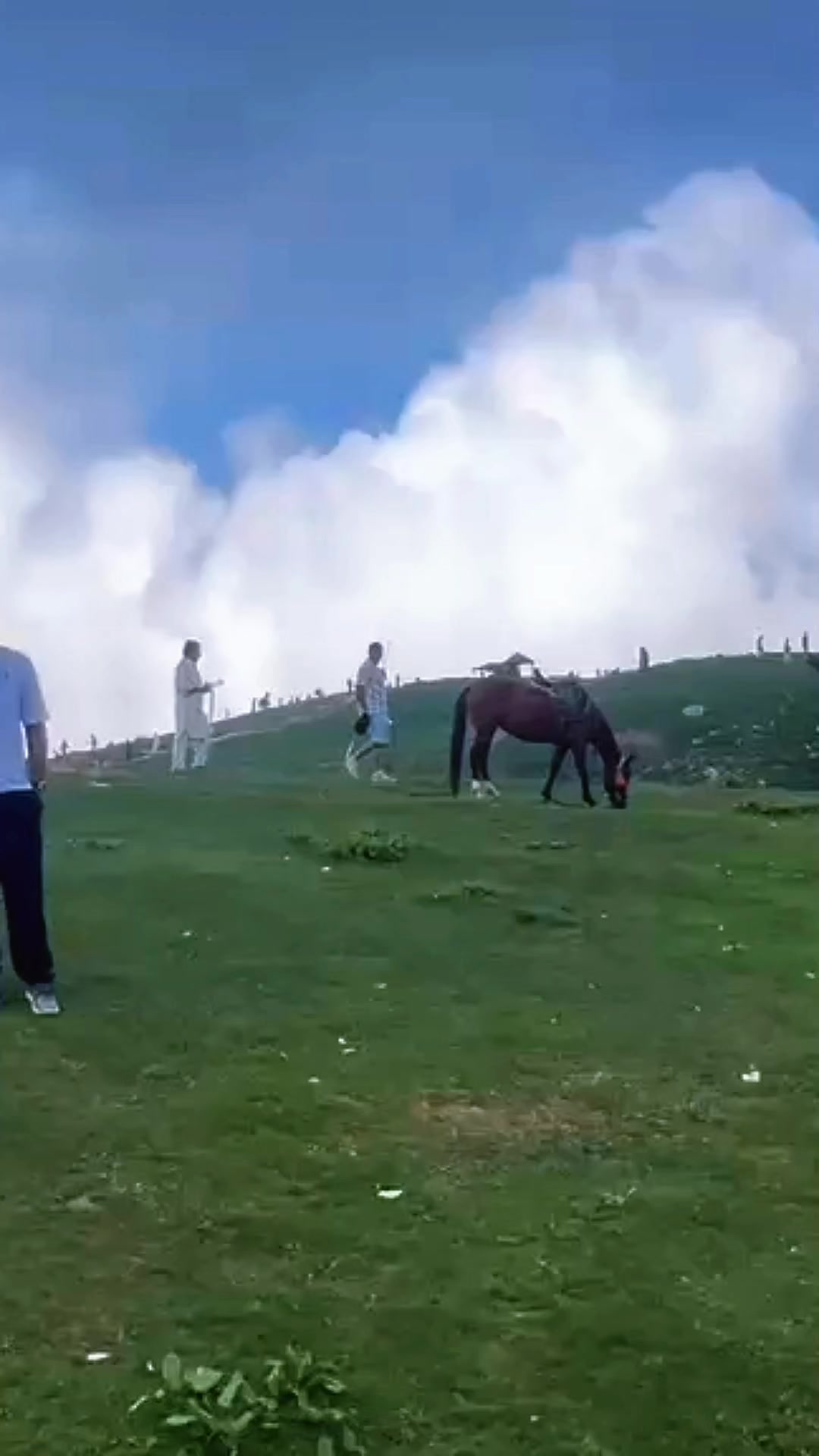 @چودھری شایانِ