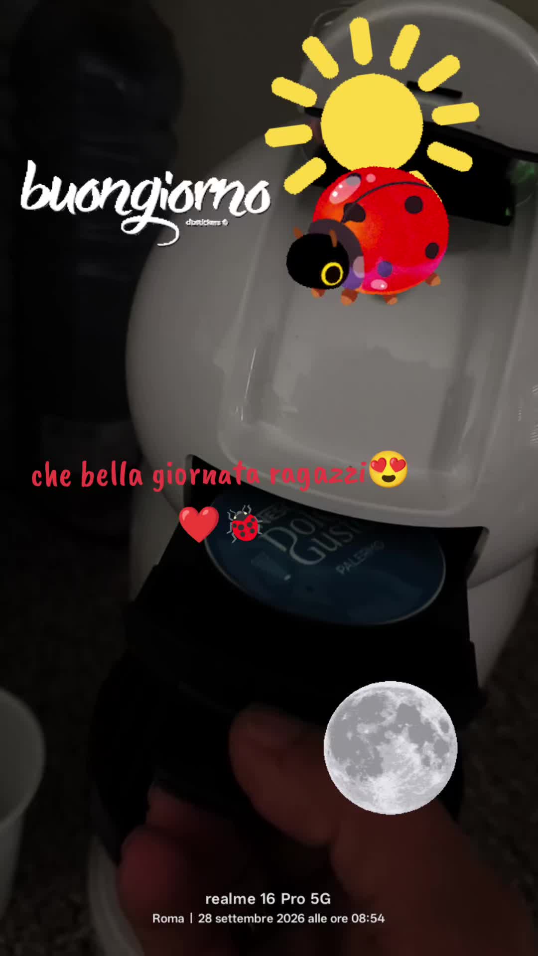 @Pidocrea🐞