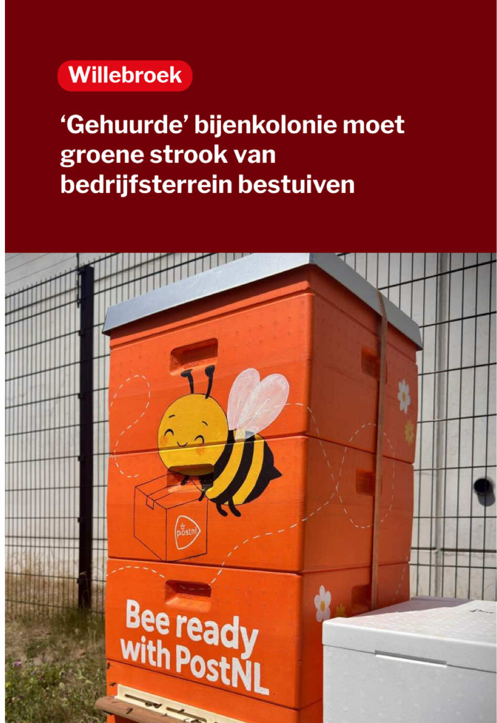 @Gazet van Antwerpen