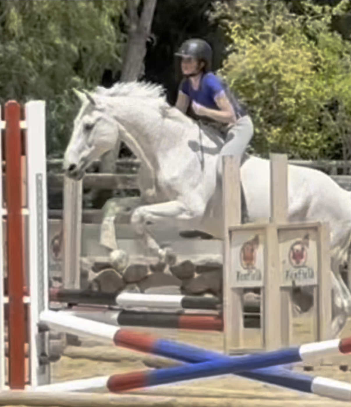 @yarden