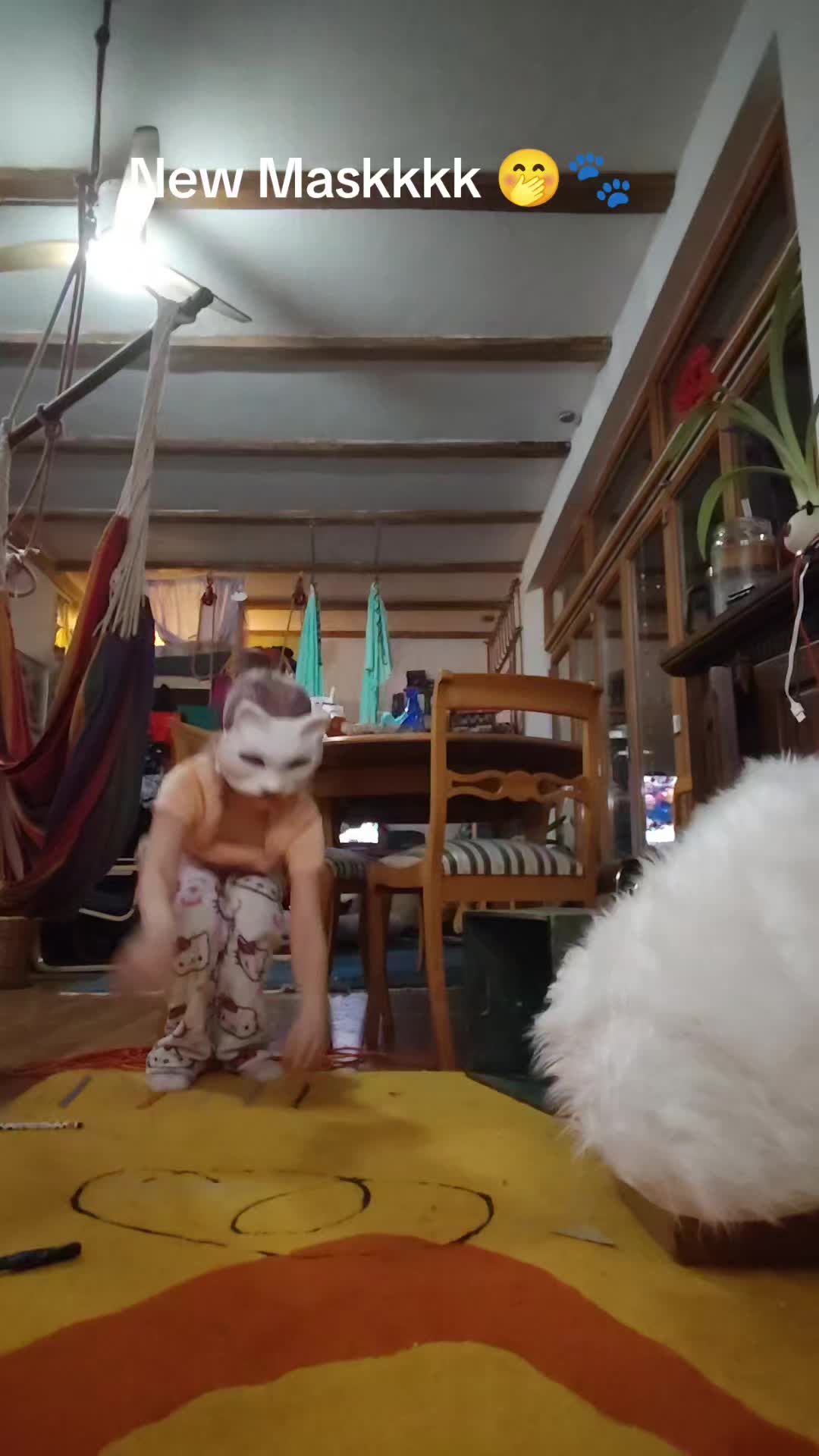 @🦴🐾♡⭒𝐹ℴxᥡ⭒♡🌀💿