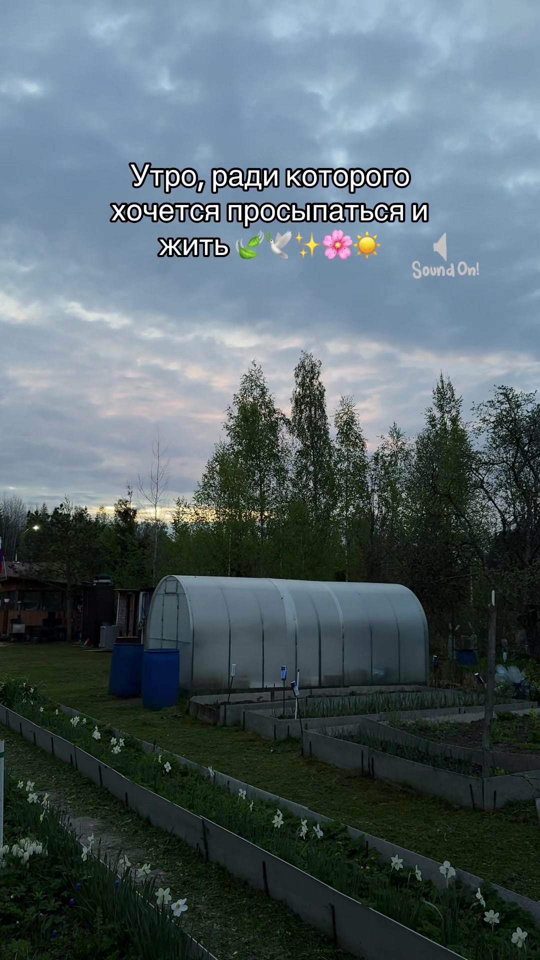 @тгк: Заметки Lupus 🐺🌙
