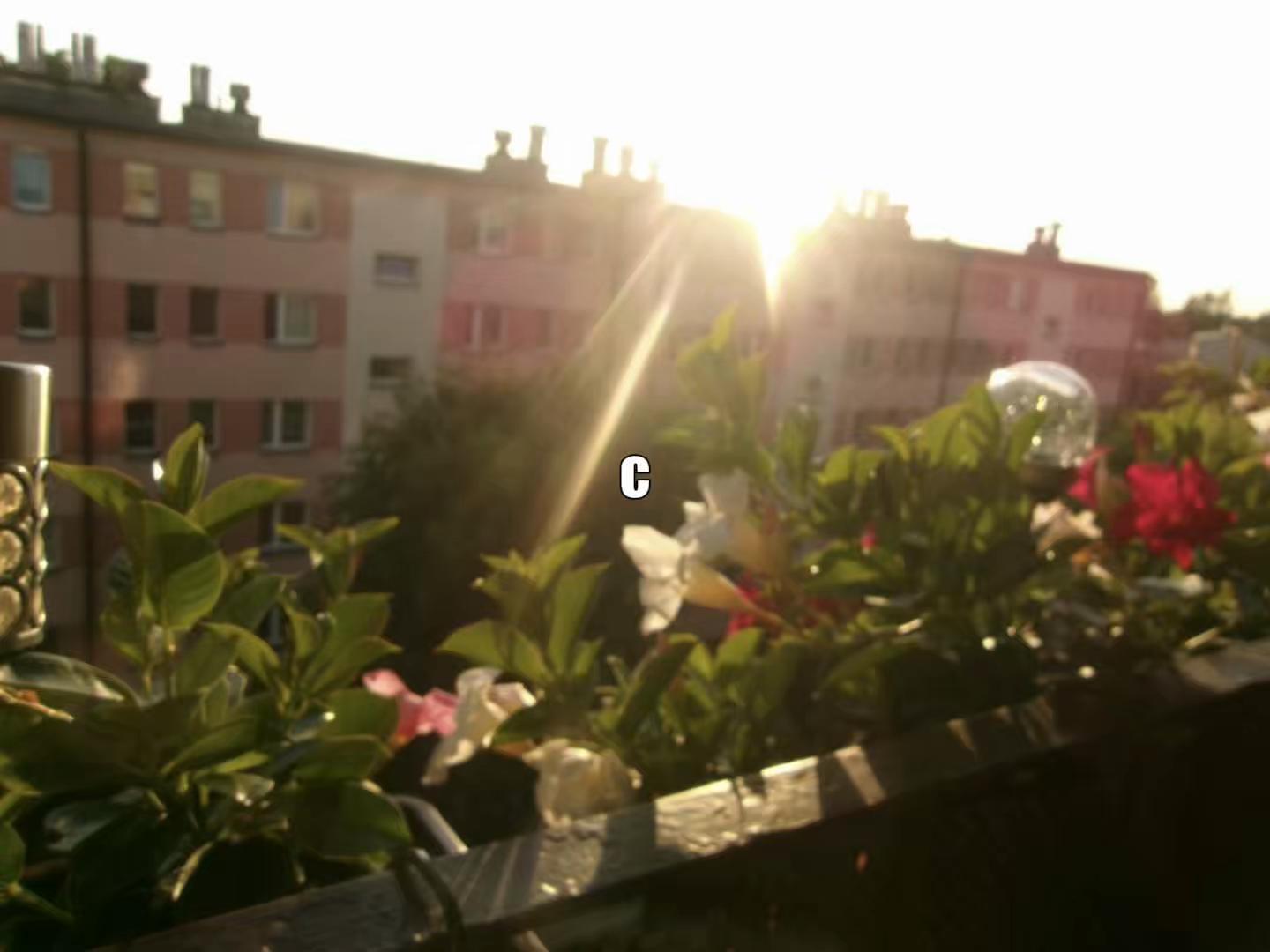 @треки для липсингов