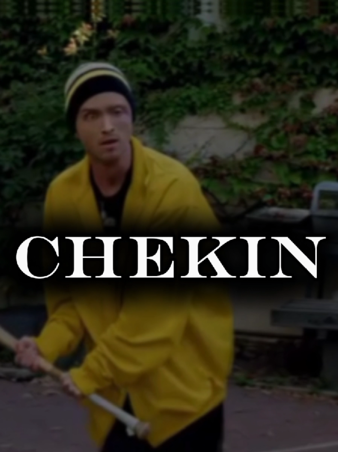 @CHEK1N