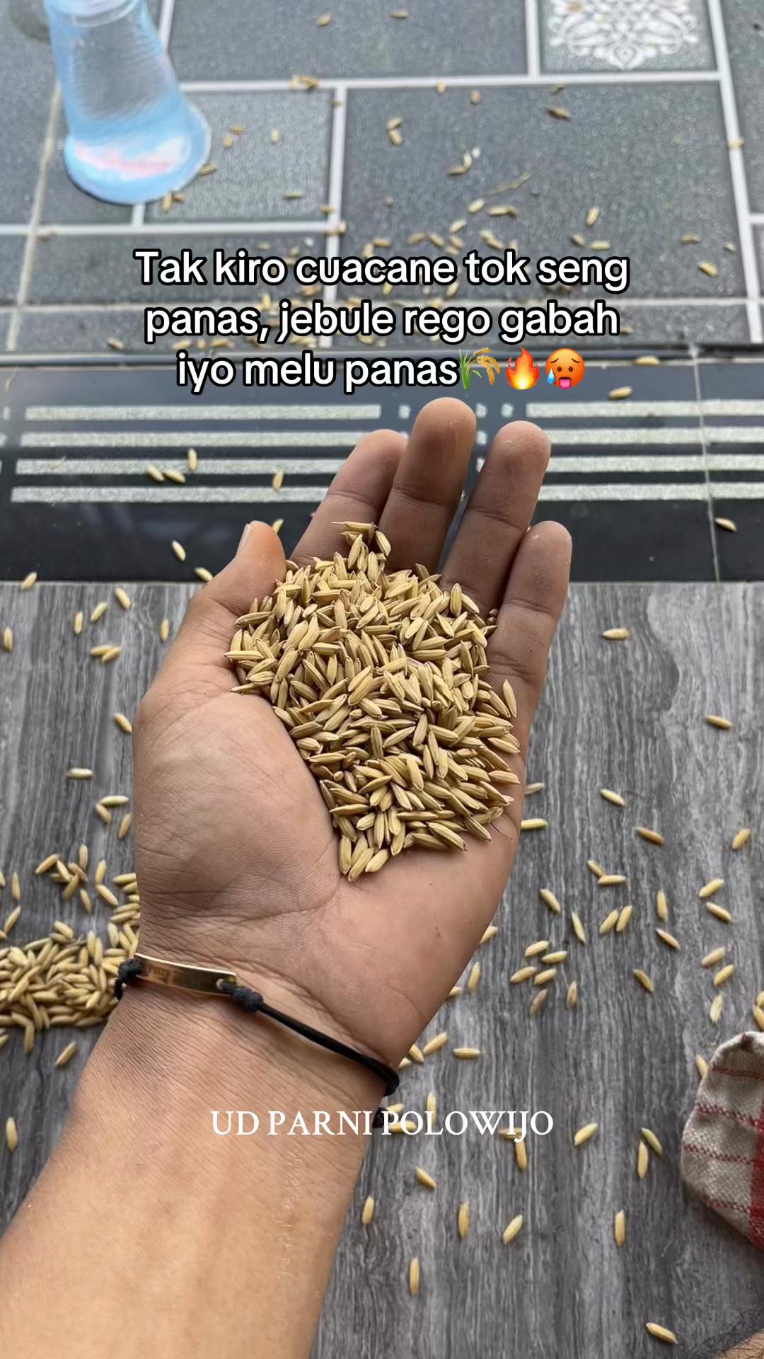 @𝐔𝐃 𝐏𝐀𝐑𝐍𝐈 𝐏𝐎𝐋𝐎𝐖𝐈𝐉𝐎
