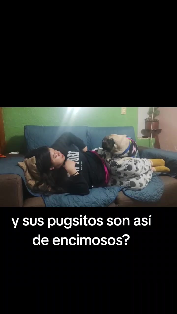 @pug.lovers53