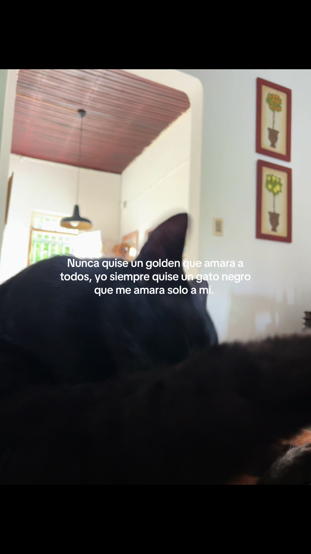 @Fonserga4