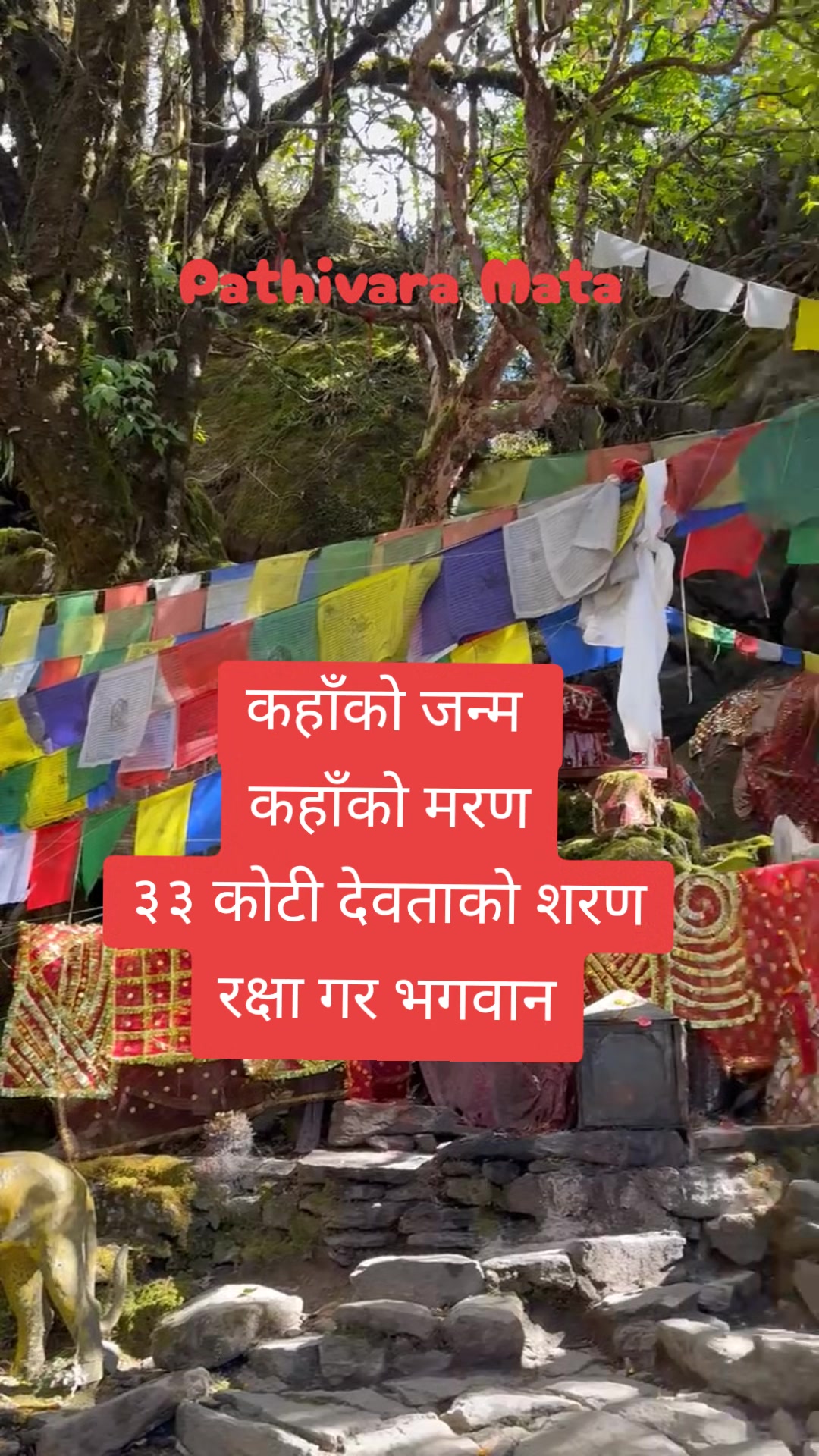 @Shra-Ddha Subedi