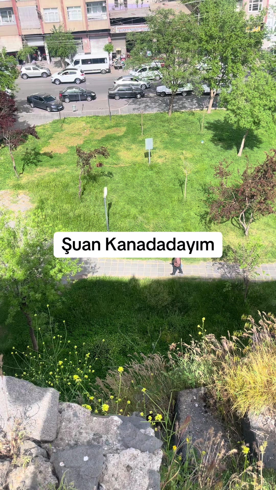 @Amedsuriçi21