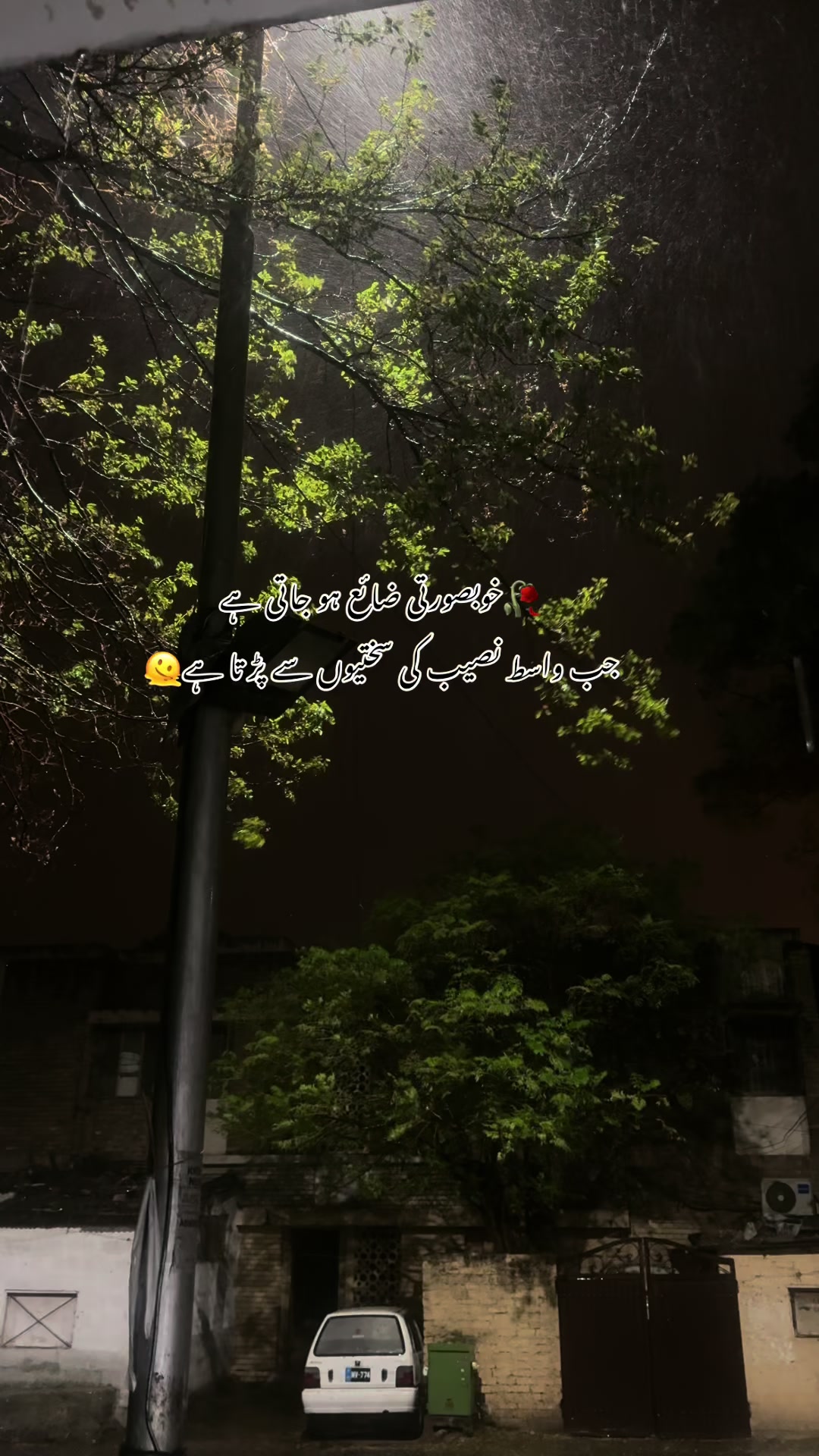 @ITX_ISB_QUEEN👑