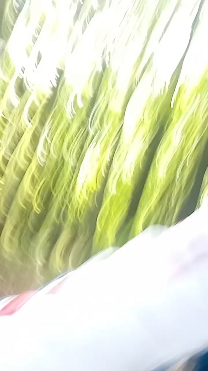 @annistipiiiiiirealgoat