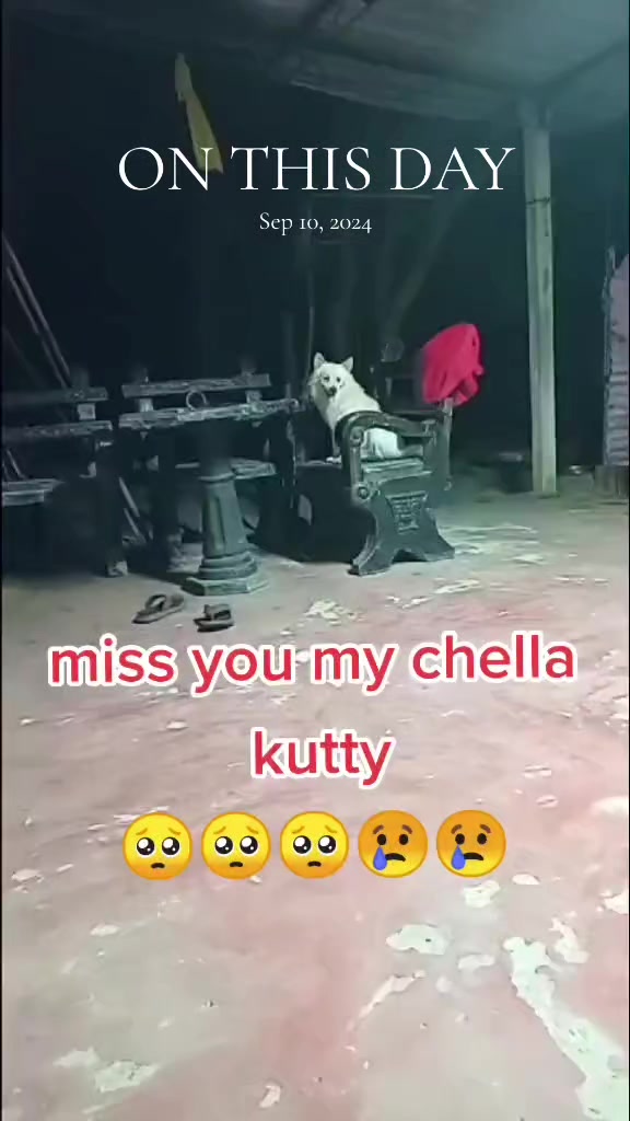 @suvittan ❤️ Nitha