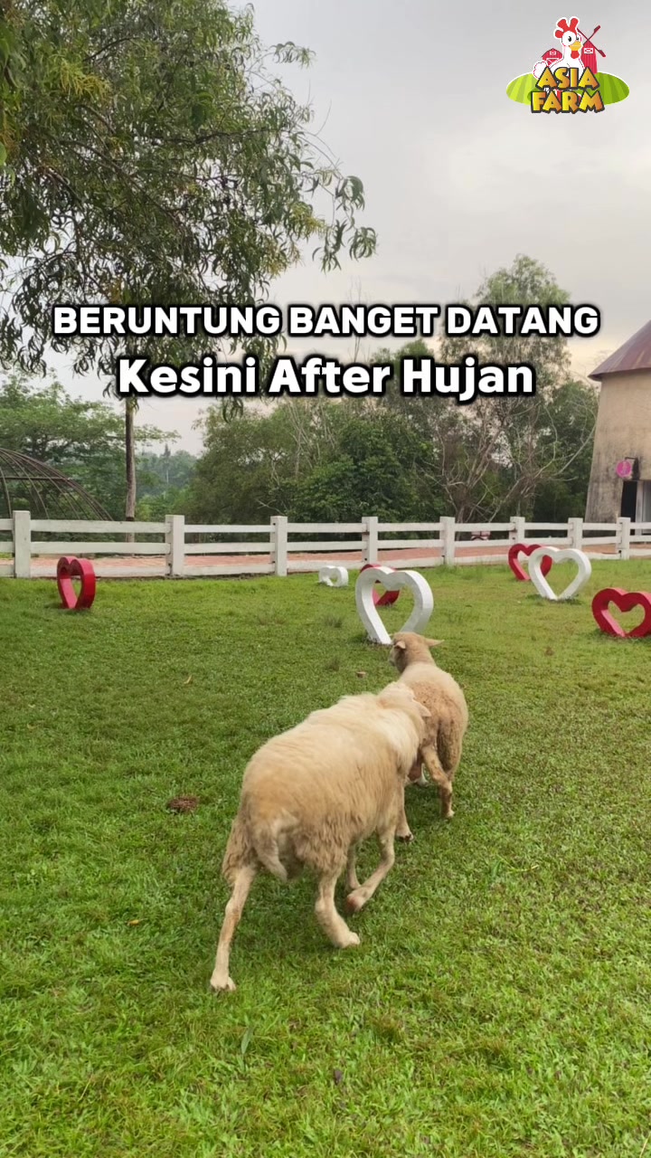 @Asia Farm Pekanbaru