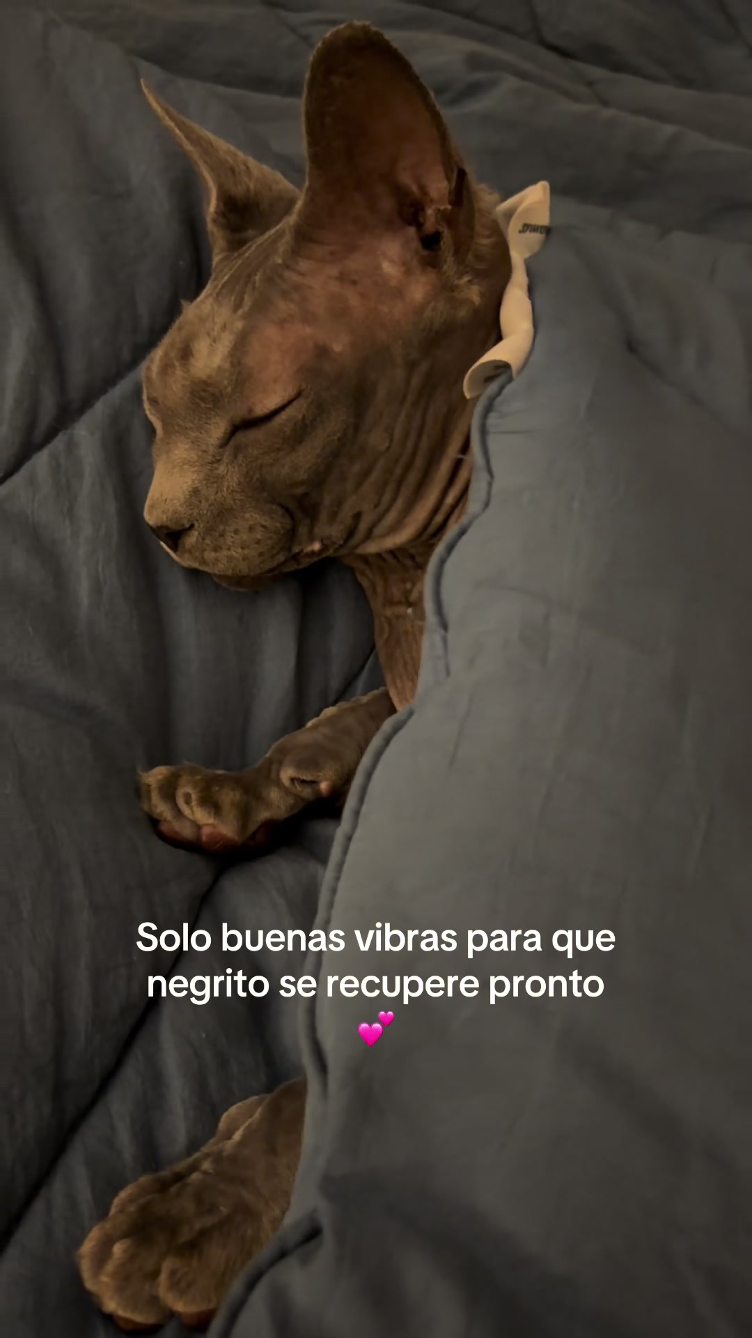 @KPaola