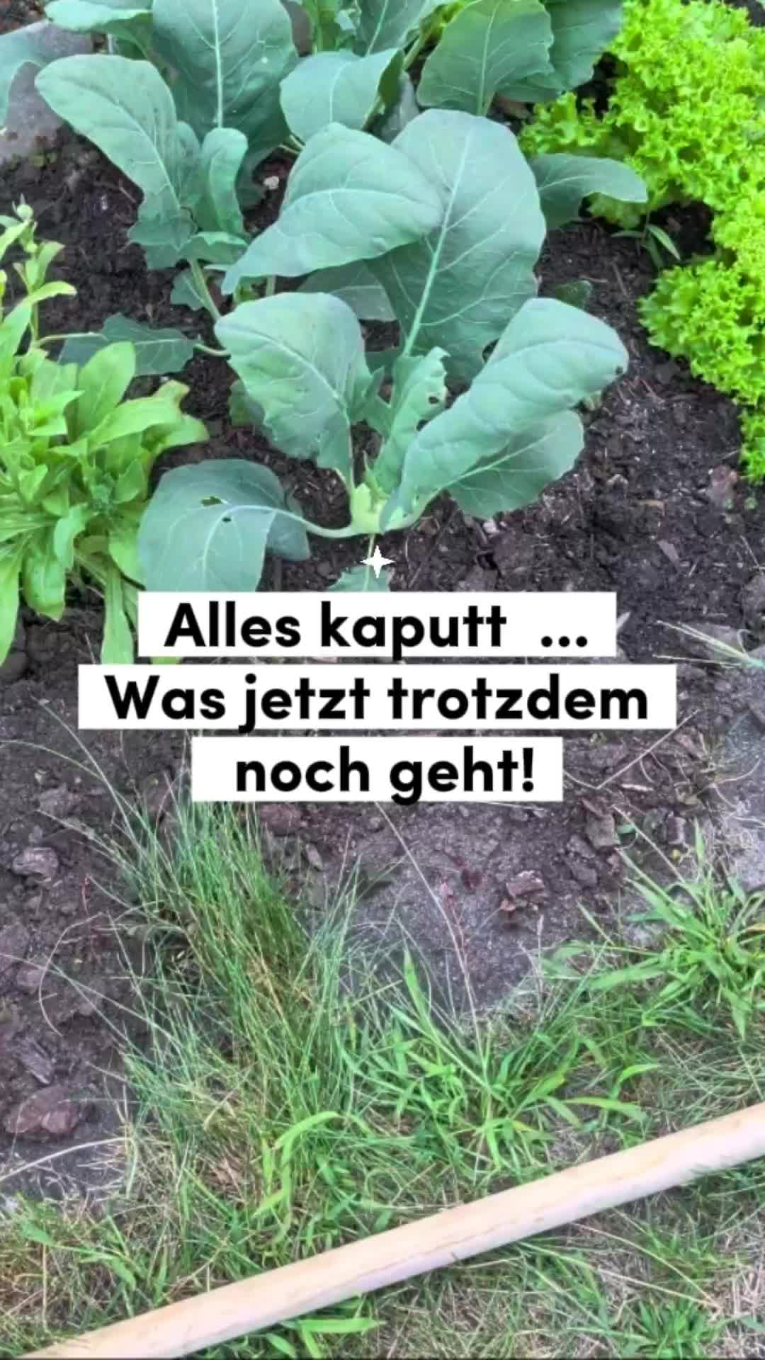 @ErnteExperte