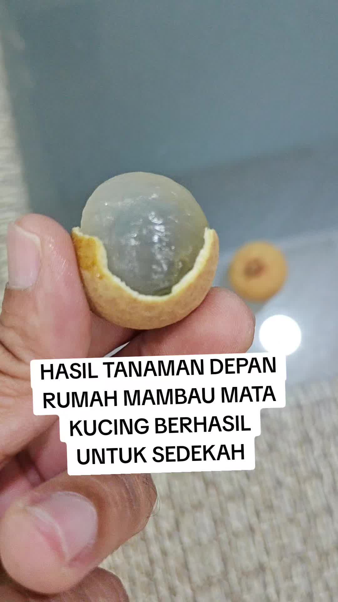 @anwar