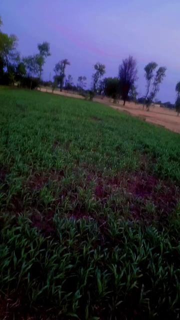 @👉🐯✌Amir._.Shahzd._.566✌🐯👈